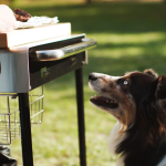 Weber Summit 24-Inch Kamado S6 Charcoal Grill Center - 18501101 - Image 4