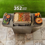 TYTUS Emberwood Portable Propane Griddle - TDT-GHS-GGRD - Image 6